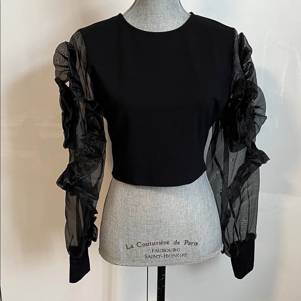 NWOT Elegant Black Fitted Stretch Sheer Rosette Sleeve Top, Size 40/8/M